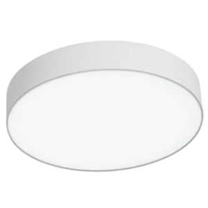 LED RIMLESS SURFACE LIGHT